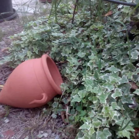 リア デ ホテル *